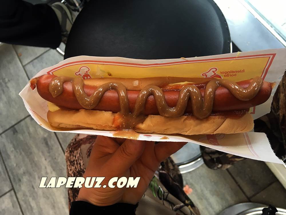 icelandic_hot_dog