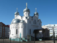 Церковь Рождества Христова — Лиски, улица Свердлова, 76А