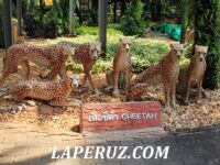 Горшечные скульптуры и артистичные слоны. Ботанический сад в Паттайе